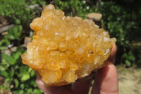 Natural Limonite Quartz Clusters x 12 From Solwezi, Zambia - Toprock Gemstones and Minerals 