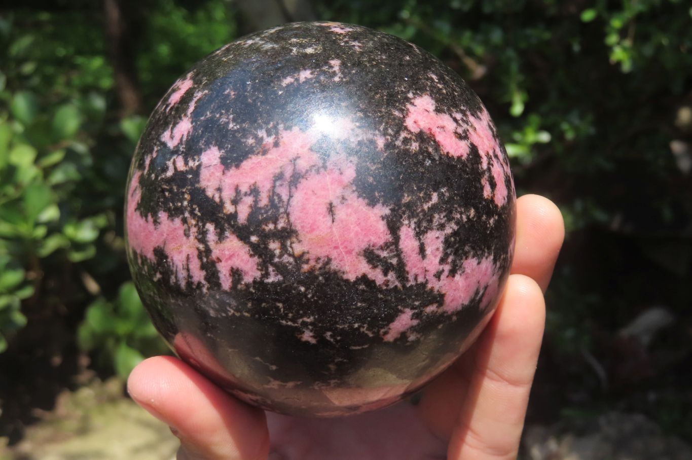 Polished Rhodonite Sphere x 1 From Madagascar - Toprock Gemstones and Minerals 