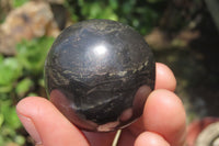 Polished Pharaoh Stone Spheres x 3 From Zimbabwe - Toprock Gemstones and Minerals 