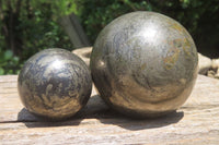 Polished Pharaoh Stone Spheres x 3 From Zimbabwe - Toprock Gemstones and Minerals 