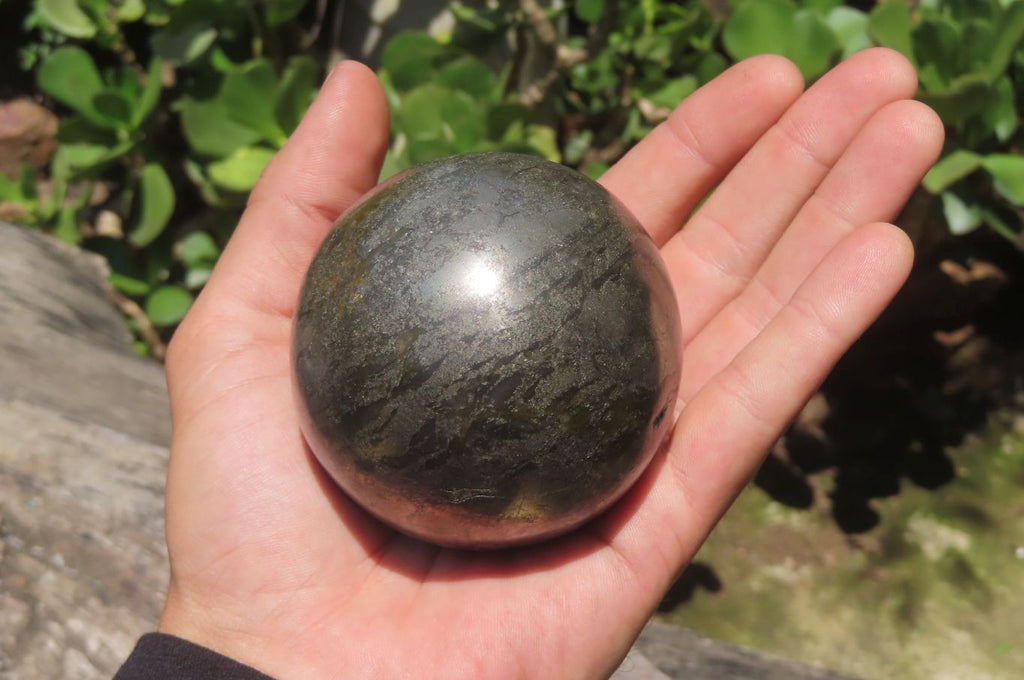 Polished Pharaoh Stone Spheres x 3 From Zimbabwe - Toprock Gemstones and Minerals 