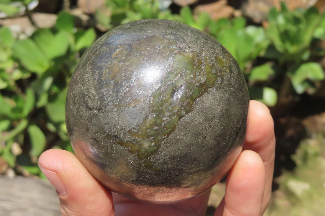 Polished Pharaoh Stone Spheres x 3 From Zimbabwe - Toprock Gemstones and Minerals 