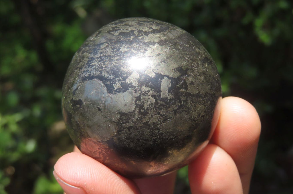 Polished Pharaoh Stone Spheres x 3 From Zimbabwe - Toprock Gemstones and Minerals 