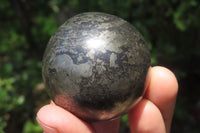 Polished Pharaoh Stone Spheres x 3 From Zimbabwe - Toprock Gemstones and Minerals 