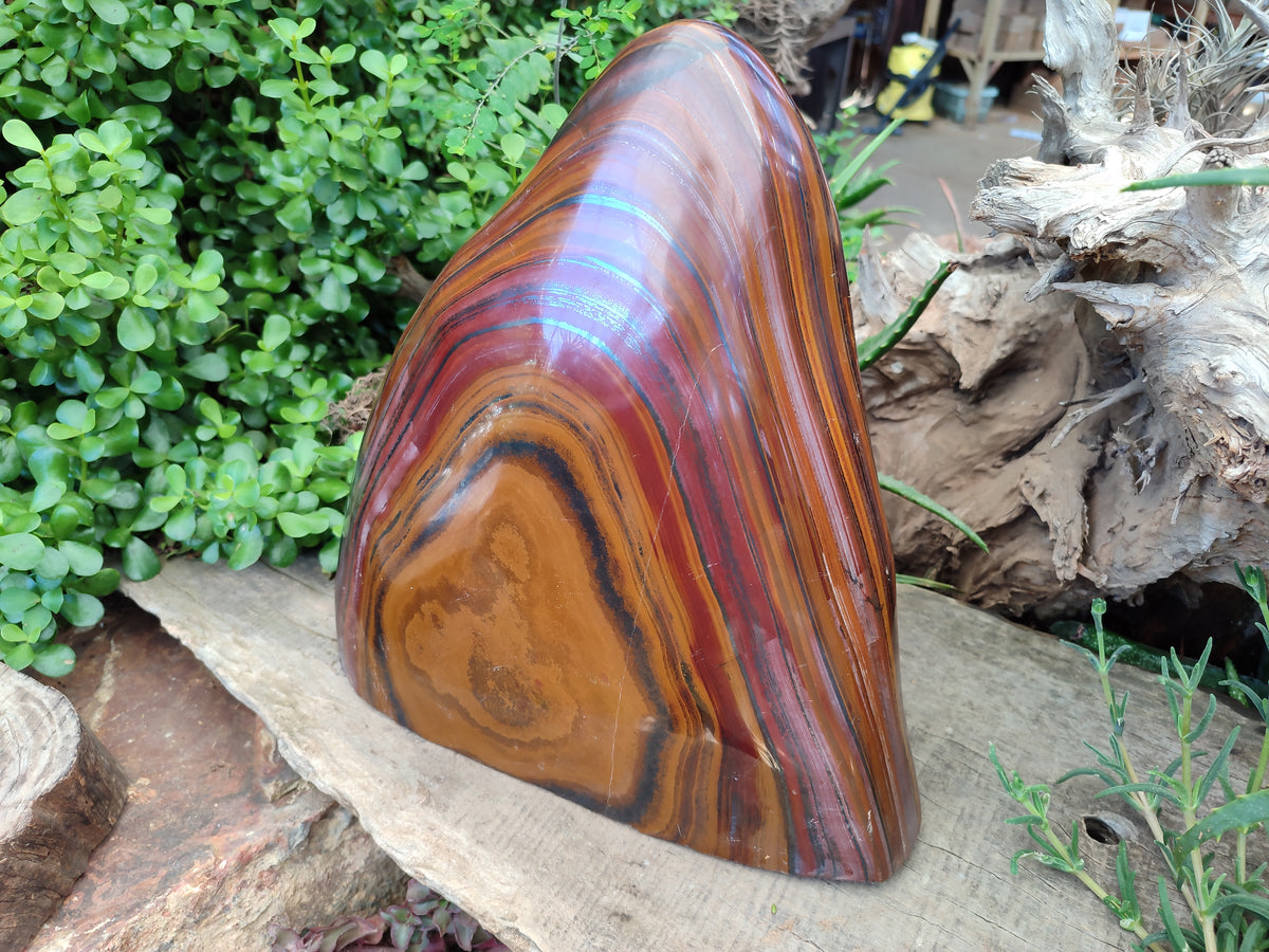 Polished Banded Tiger Iron Jasper Free Form x 1 From Northern Cape, South Africa - Toprock Gemstones and Minerals 