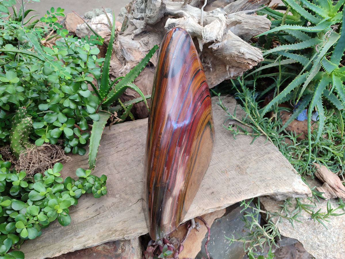 Polished Banded Tiger Iron Jasper Free Form x 1 From Northern Cape, South Africa - Toprock Gemstones and Minerals 