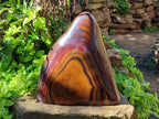 Polished Banded Tiger Iron Jasper Free Form x 1 From Northern Cape, South Africa - Toprock Gemstones and Minerals 