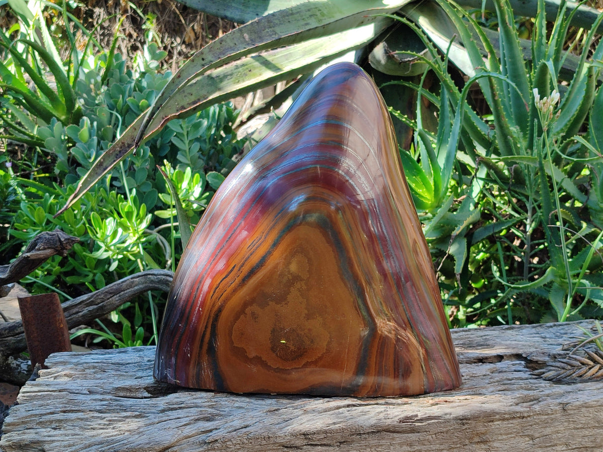 Polished Banded Tiger Iron Jasper Free Form x 1 From Northern Cape, South Africa - Toprock Gemstones and Minerals 