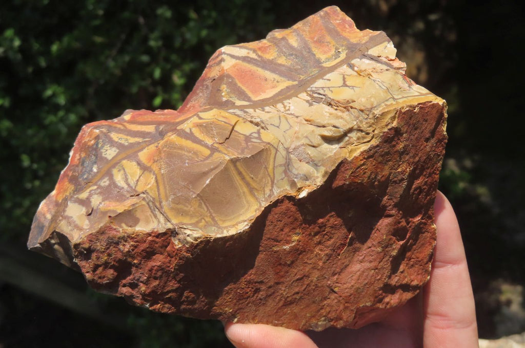 Natural Nguni Jasper Cobbed Specimens x 3 From Prieska, South Africa - Toprock Gemstones and Minerals 