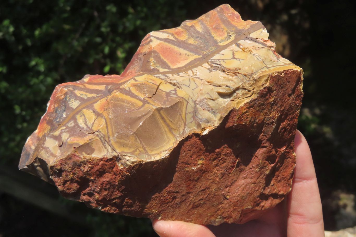 Natural Nguni Jasper Cobbed Specimens x 3 From Prieska, South Africa - Toprock Gemstones and Minerals 