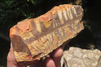 Natural Nguni Jasper Cobbed Specimens x 3 From Prieska, South Africa - Toprock Gemstones and Minerals 