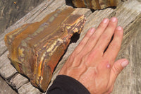Natural Nguni Jasper Cobbed Specimens x 3 From Prieska, South Africa - Toprock Gemstones and Minerals 