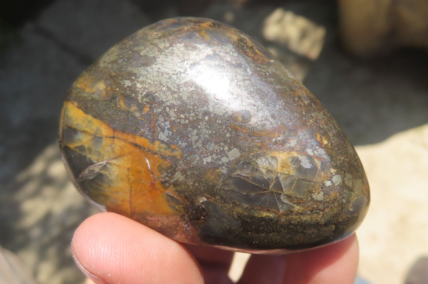 Polished Pharaoh Stone Palm Stones x 6 From Zimbabwe - Toprock Gemstones and Minerals 