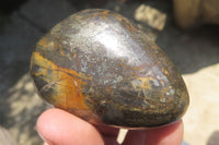 Polished Pharaoh Stone Palm Stones x 6 From Zimbabwe - Toprock Gemstones and Minerals 