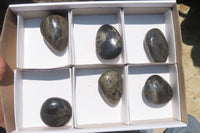 Polished Pharaoh Stone Palm Stones x 6 From Zimbabwe - Toprock Gemstones and Minerals 