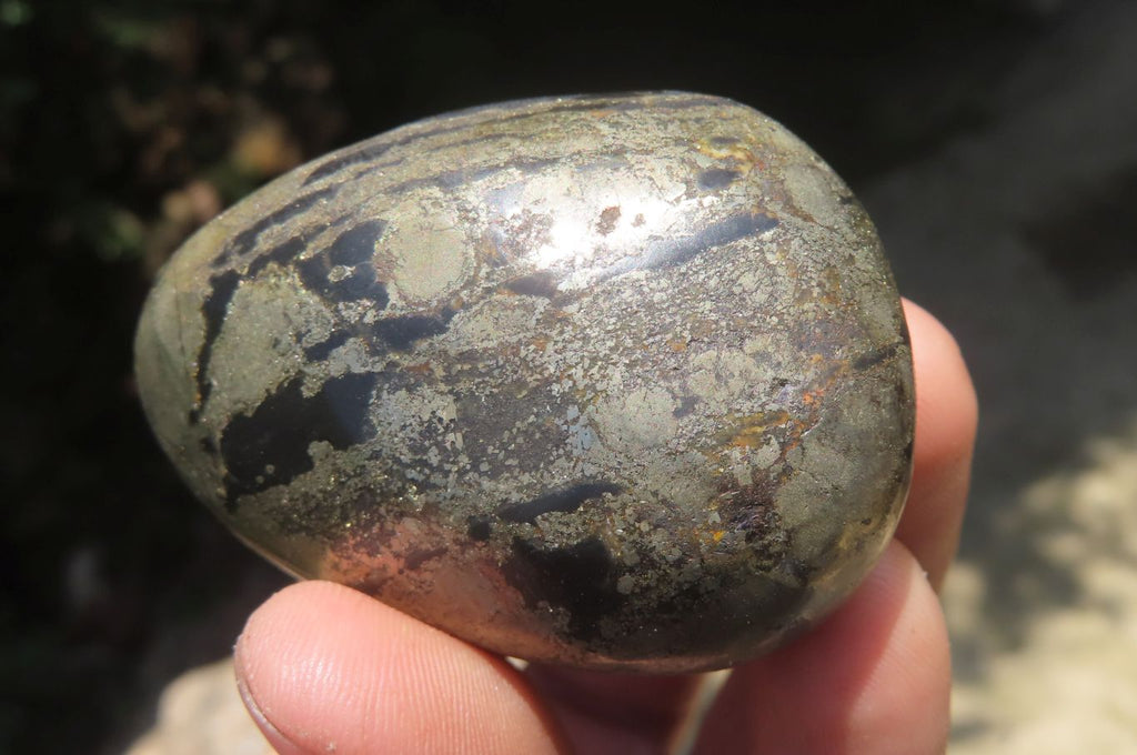Polished Pharaoh Stone Palm Stones x 6 From Zimbabwe - Toprock Gemstones and Minerals 