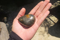 Polished Pharaoh Stone Palm Stones x 6 From Zimbabwe - Toprock Gemstones and Minerals 