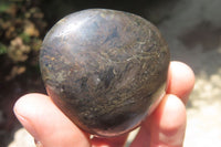 Polished Pharaoh Stone Palm Stones x 6 From Zimbabwe - Toprock Gemstones and Minerals 