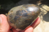Polished Pharaoh Stone Palm Stones x 6 From Zimbabwe - Toprock Gemstones and Minerals 