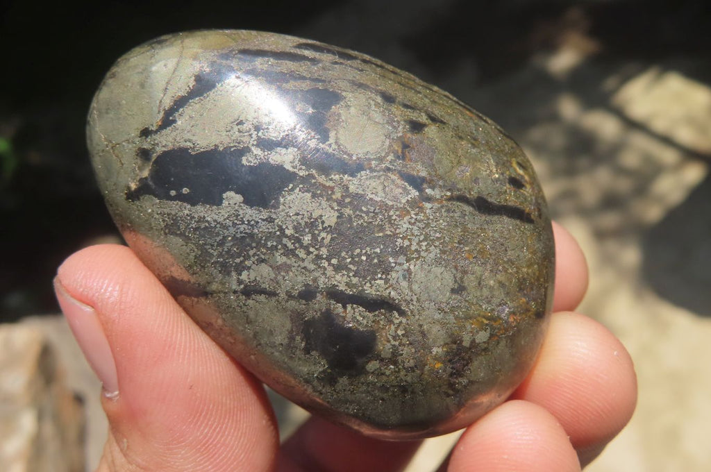 Polished Pharaoh Stone Palm Stones x 6 From Zimbabwe - Toprock Gemstones and Minerals 