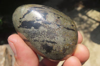 Polished Pharaoh Stone Palm Stones x 6 From Zimbabwe - Toprock Gemstones and Minerals 