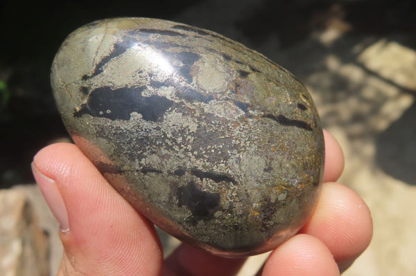 Polished Pharaoh Stone Palm Stones x 6 From Zimbabwe - Toprock Gemstones and Minerals 