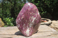 Polished Rubellite Pink Tourmaline Standing Free Form x 1 From Ambatondrazaka, Madagascar - Toprock Gemstones and Minerals 