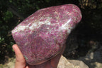 Polished Rubellite Pink Tourmaline Standing Free Form x 1 From Ambatondrazaka, Madagascar - Toprock Gemstones and Minerals 