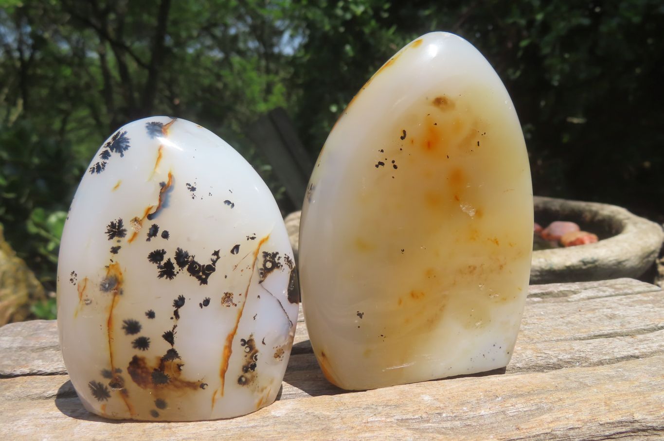 Polished Dendritic Agate Standing Free Forms x 5 From Madagascar - Toprock Gemstones and Minerals 