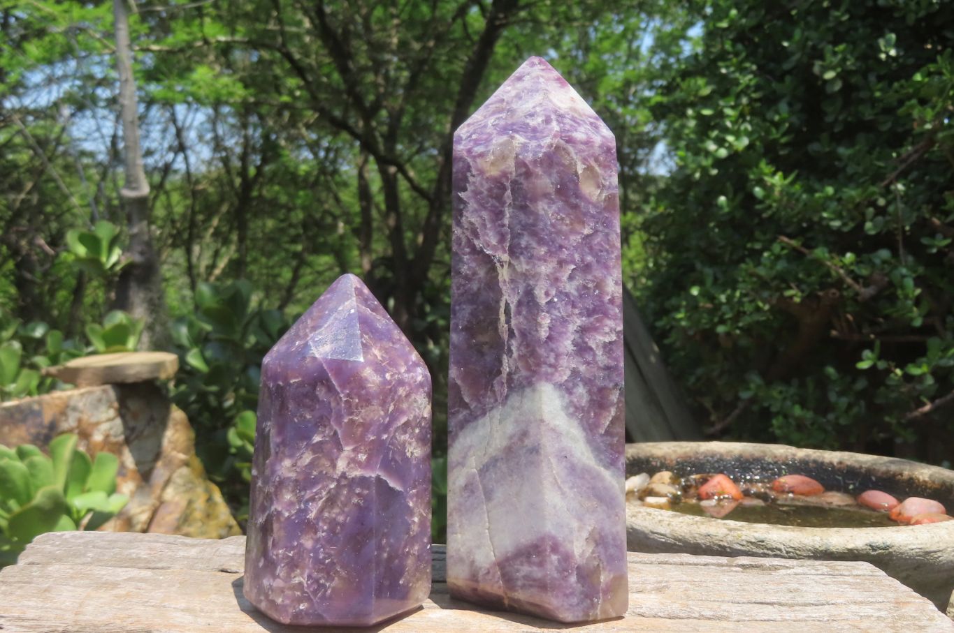 Polished Lepidolite Points x 2 From Madagascar - Toprock Gemstones and Minerals 