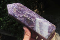Polished Lepidolite Points x 2 From Madagascar - Toprock Gemstones and Minerals 
