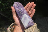 Polished Lepidolite Points x 2 From Madagascar - Toprock Gemstones and Minerals 