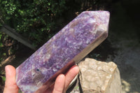 Polished Lepidolite Points x 2 From Madagascar - Toprock Gemstones and Minerals 