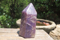 Polished Lepidolite Points x 2 From Madagascar - Toprock Gemstones and Minerals 