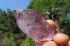 Polished Smokey Window Amethyst Quartz Crystals x 24 From Akansobe, Madagascar - Toprock Gemstones and Minerals 