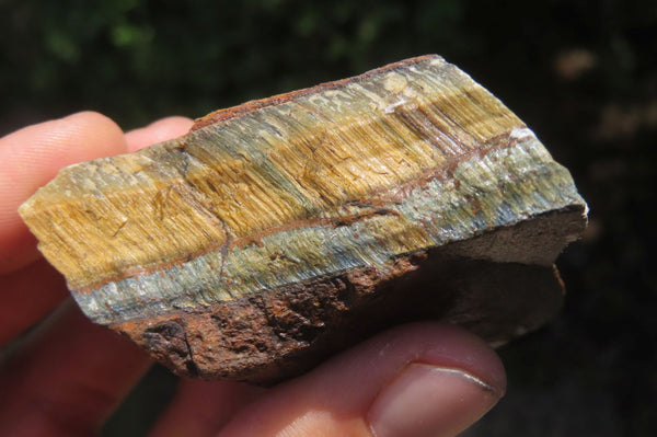 Polished On One Side Tiger's Eye Slabs x 12 From Prieska, South Africa