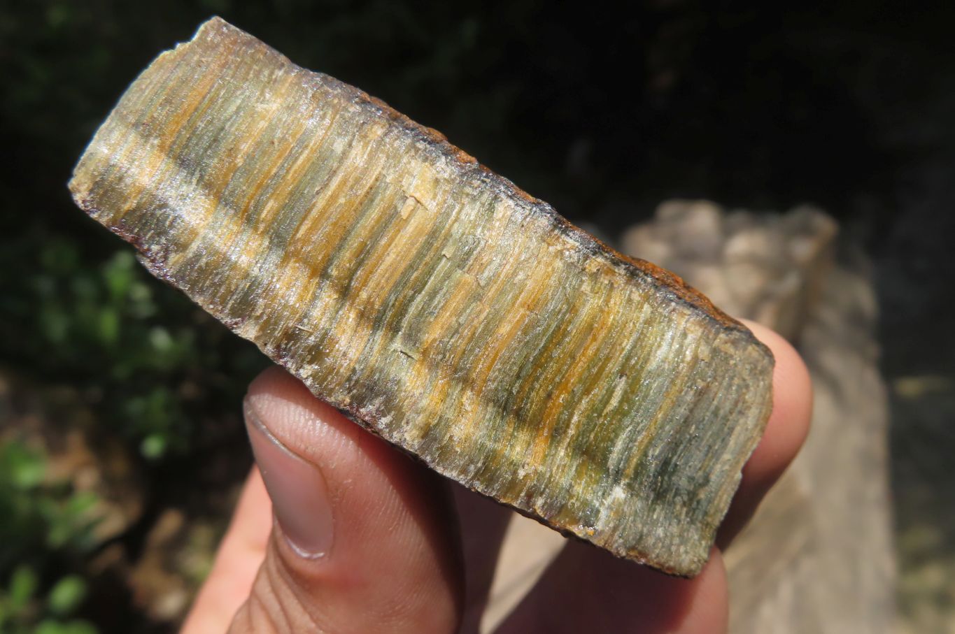 Polished On One Side Tiger's Eye Slabs x 12 From Prieska, South Africa - Toprock Gemstones and Minerals 