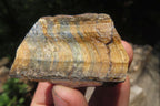 Polished On One Side Tiger's Eye Slabs x 12 From Prieska, South Africa - Toprock Gemstones and Minerals 