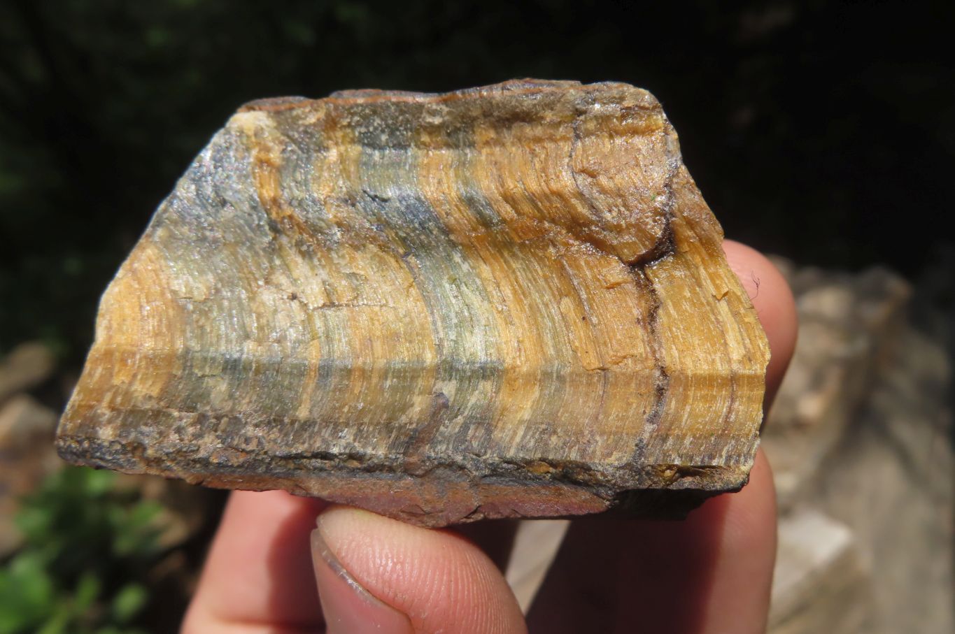 Polished On One Side Tiger's Eye Slabs x 12 From Prieska, South Africa - Toprock Gemstones and Minerals 