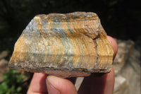 Polished On One Side Tiger's Eye Slabs x 12 From Prieska, South Africa