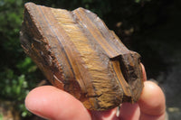Polished On One Side Tiger's Eye Slabs x 12 From Prieska, South Africa