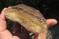 Polished On One Side Tiger's Eye Slabs x 12 From Prieska, South Africa