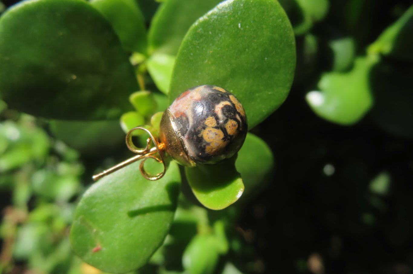 Polished Pair of Larger Snakeskin Rhyolite Jasper Stud Earrings - sold per Pair - From Australia - Toprock Gemstones and Minerals 