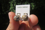 Polished Pair of Larger Snakeskin Rhyolite Jasper Stud Earrings - sold per Pair - From Australia - Toprock Gemstones and Minerals 