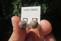 Polished Pair of Larger Snakeskin Rhyolite Jasper Stud Earrings - sold per Pair - From Australia - Toprock Gemstones and Minerals 
