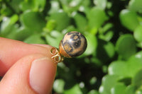 Polished Pair of Larger Snakeskin Rhyolite Jasper Stud Earrings - sold per Pair - From Australia - Toprock Gemstones and Minerals 