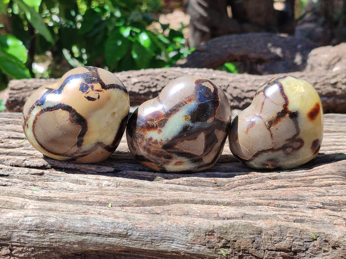 Polished Large Septerye Hearts - Sold Per Item - From Madagascar - Toprock Gemstones and Minerals 