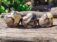 Polished Large Septerye Hearts - Sold Per Item - From Madagascar