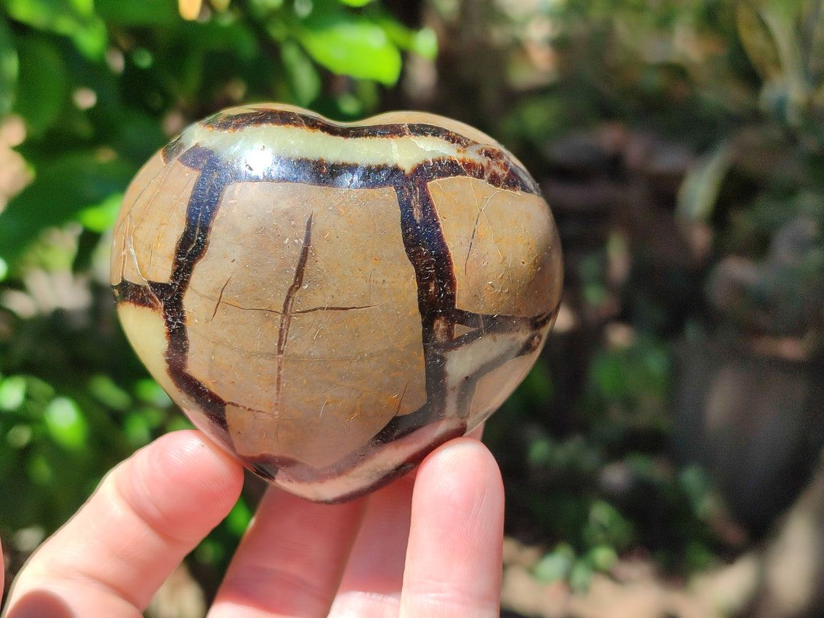Polished Large Septerye Hearts - Sold Per Item - From Madagascar - Toprock Gemstones and Minerals 