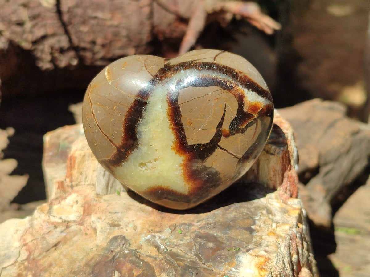 Polished Large Septerye Hearts - Sold Per Item - From Madagascar - Toprock Gemstones and Minerals 